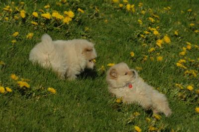 Apr29_06_1576.JPG