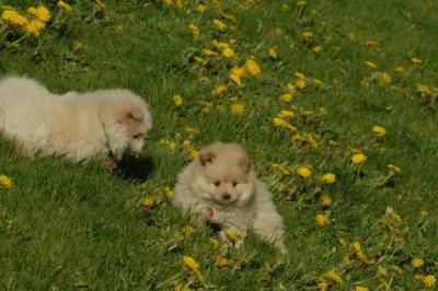 Apr29_06_1578.JPG