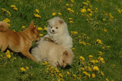 Apr29_06_1584.JPG
