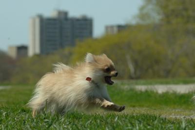 Apr29_06_1337.JPG