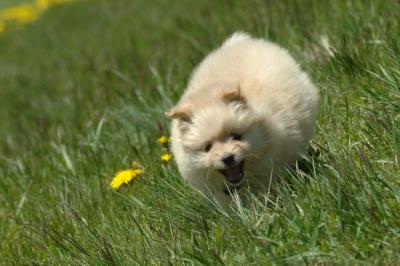 Apr29_06_1052.JPG