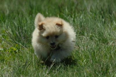 Apr29_06_1068.JPG