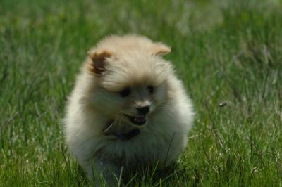 Apr29_06_1076.JPG