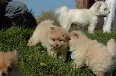 Apr29_06_586.JPG