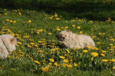 Apr29_06_603.JPG