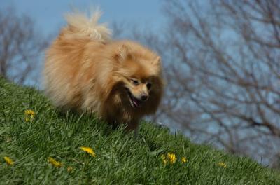 Apr29_06_213.JPG