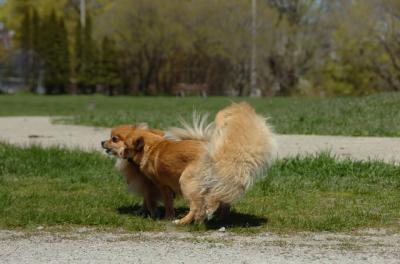 Apr29_06_007.JPG