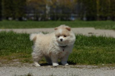 Apr29_06_014.JPG