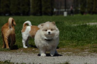 Apr29_06_015.JPG