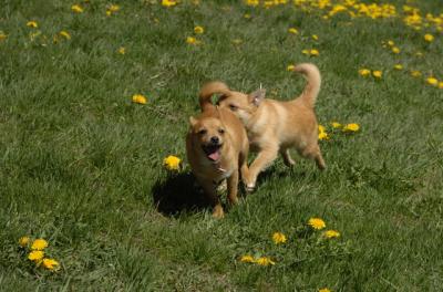 Apr29_06_040.JPG