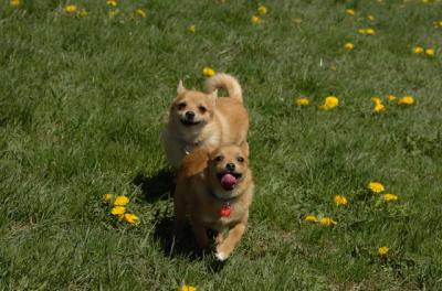 Apr29_06_043.JPG
