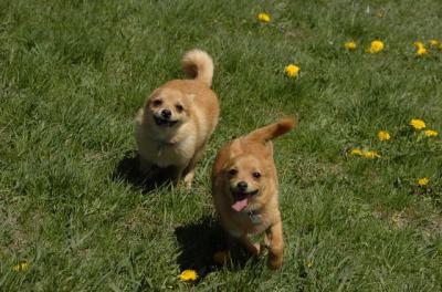 Apr29_06_044.JPG