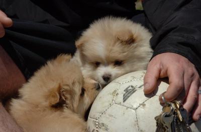 Apr29_06_050.JPG
