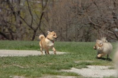 Apr29_06_062.JPG
