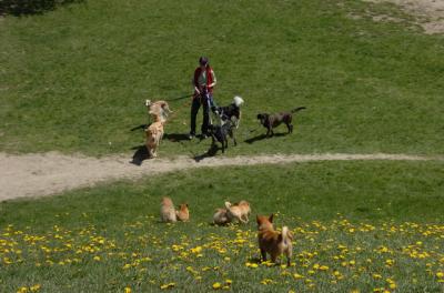 Apr29_06_084.JPG