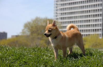 Apr29_06_086.JPG