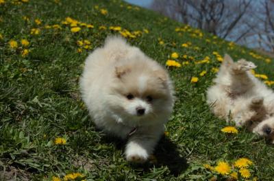 Apr29_06_106.JPG