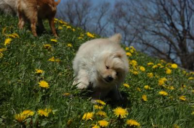 Apr29_06_108.JPG