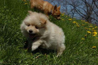 Apr29_06_124.JPG