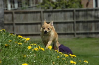 Apr29_06_127.JPG