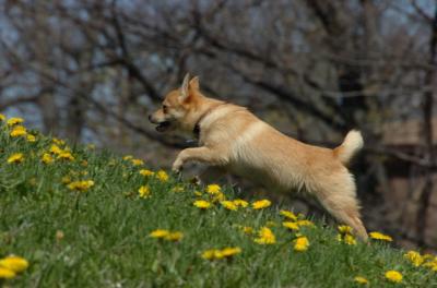 Apr29_06_130.JPG