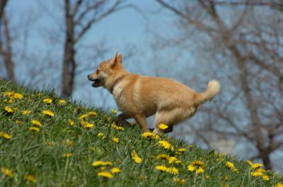Apr29_06_133.JPG