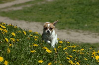 Apr29_06_134.JPG