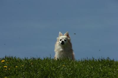 Apr29_06_136.JPG