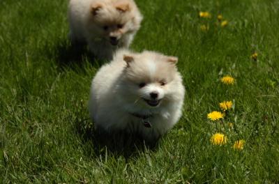 Apr29_06_137.JPG