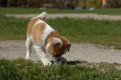 Apr30_06_498.JPG