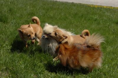 Apr30_06_534.JPG