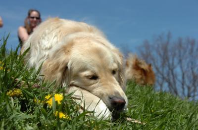 Apr30_06_198.JPG
