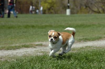 Apr30_06_232.JPG