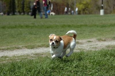 Apr30_06_234.JPG