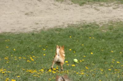 Apr30_06_267.JPG