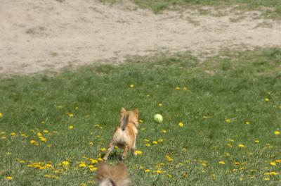 Apr30_06_268.JPG