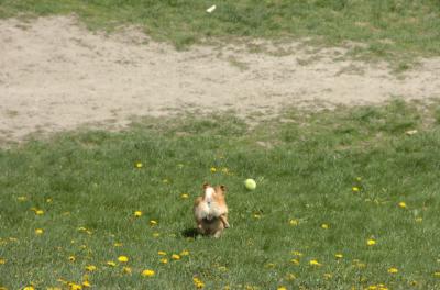 Apr30_06_269.JPG