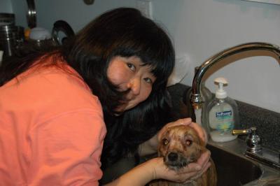 Snowballs Puppies 018.jpg