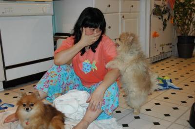 Snowballs Puppies 067.jpg