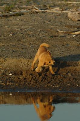 May3_06_1551.JPG