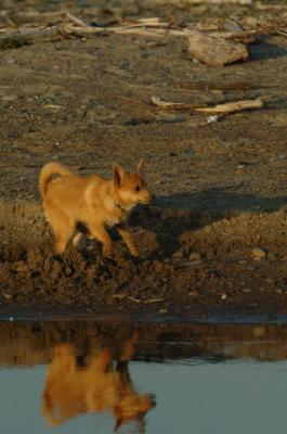 May3_06_1552.JPG