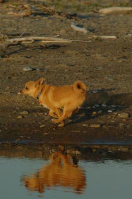 May3_06_1556.JPG