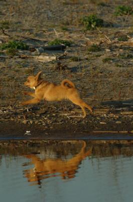 May3_06_1560.JPG