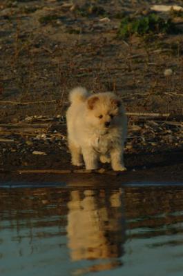 May3_06_1566.JPG