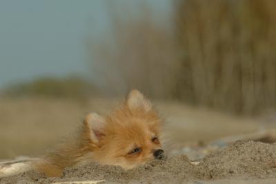 May3_06_1030.JPG