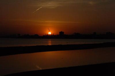May3_06_510.JPG