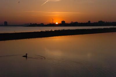 May3_06_517.JPG