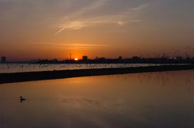 May3_06_520.JPG