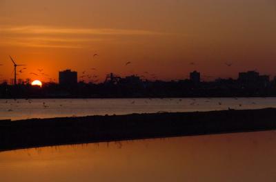 May3_06_523.JPG
