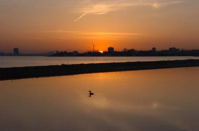 May3_06_526.JPG